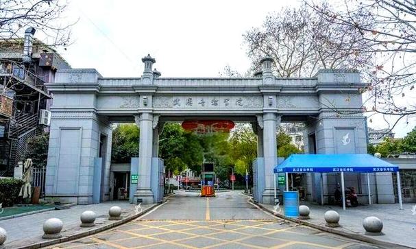 湖北有哪些院校设立了音乐专业?-第3张图片-泰美艺术培训 湖北有哪些院校设立了音乐专业?-第3张图片-泰美艺术培训