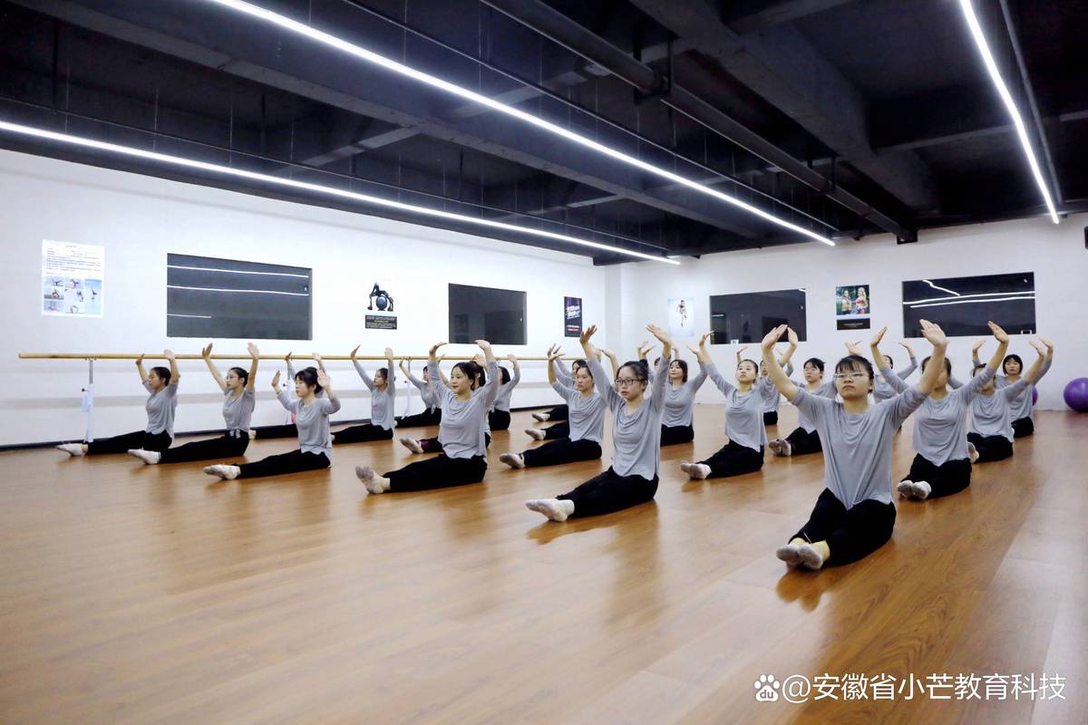 初中毕业如何考舞蹈学院?门槛条件有哪些?-第2张图片-泰美艺术培训 初中毕业如何考舞蹈学院?门槛条件有哪些?-第2张图片-泰美艺术培训