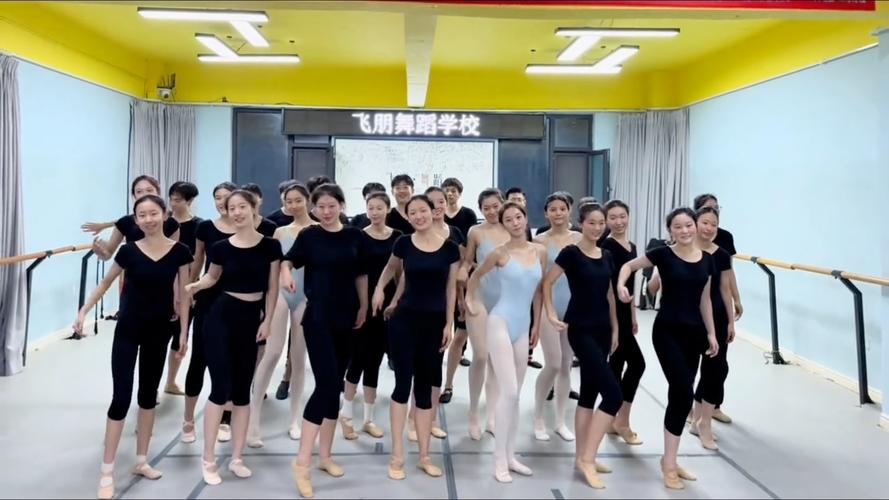 太原哪些初中开设舞蹈专业？-第3张图片-泰美艺术培训