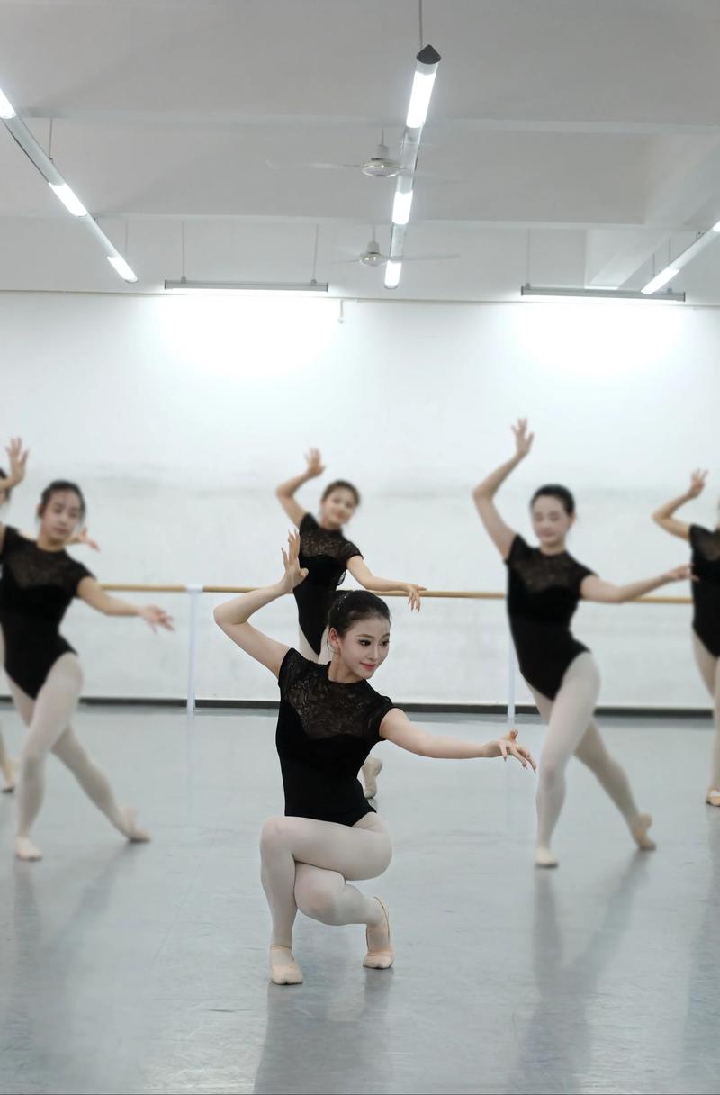 焦作大学舞蹈表演专业好考吗?-第2张图片-泰美艺术培训 焦作大学舞蹈表演专业好考吗?-第2张图片-泰美艺术培训