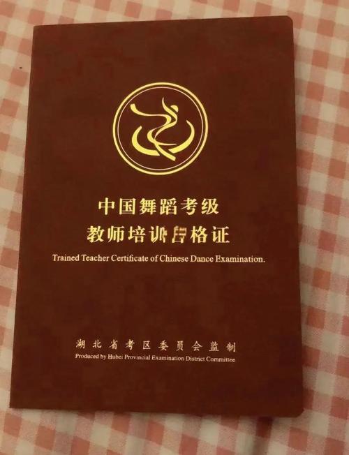 舞蹈考级证给考生加分吗-第3张图片-泰美艺术培训 舞蹈考级证给考生加分吗-第3张图片-泰美艺术培训
