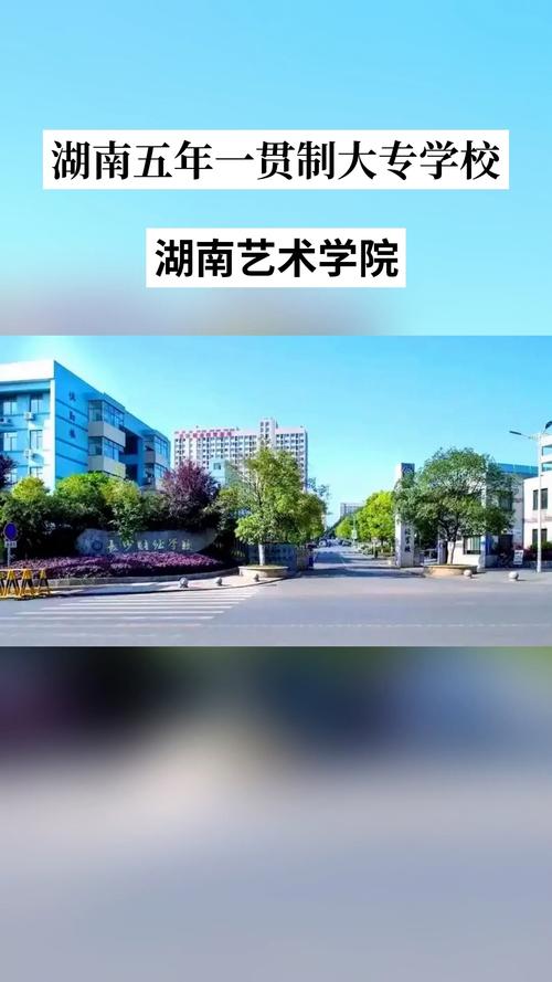 湖南美术职业学校有哪些？-第2张图片-泰美艺术培训