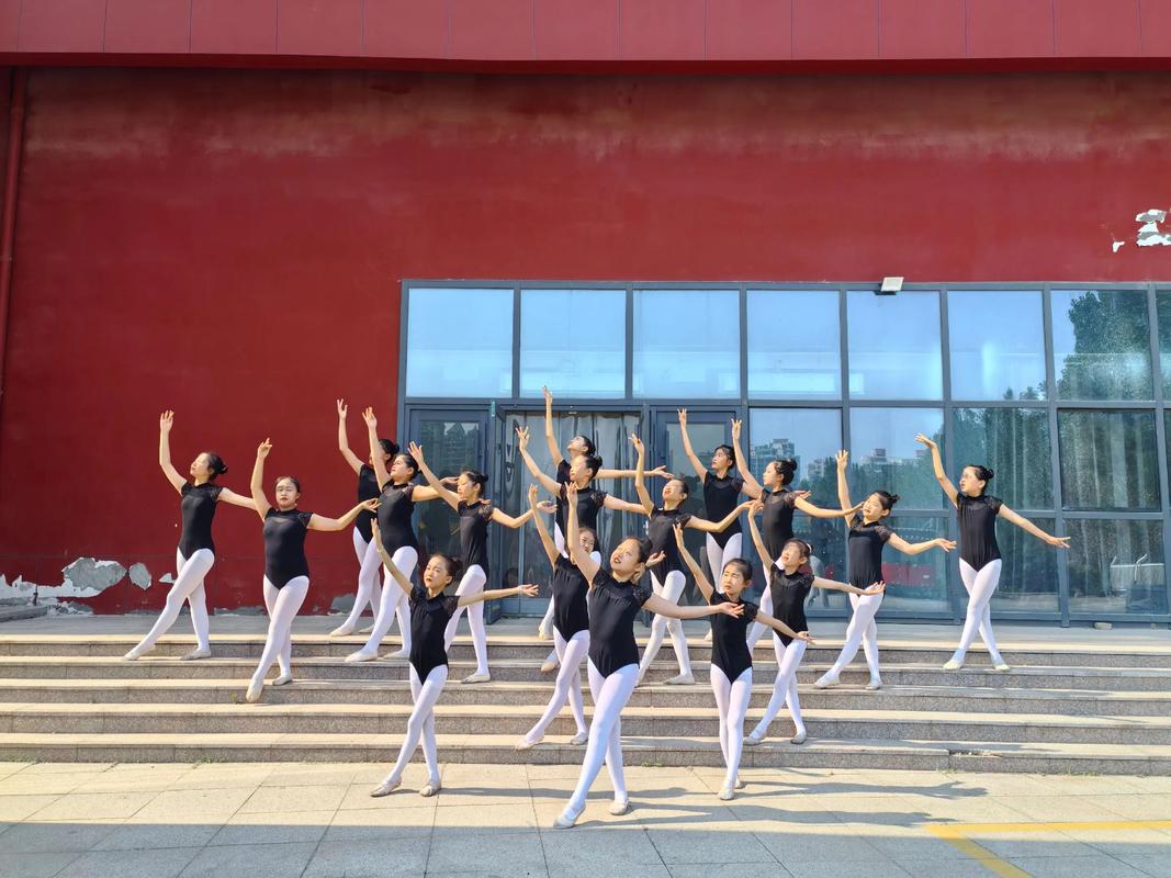 舞蹈专业过了，文化课没过怎么办？-第3张图片-泰美艺术培训