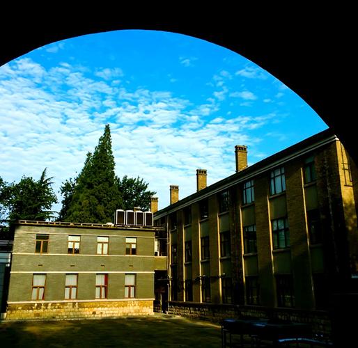 江苏师范大学舞蹈专业吗-第2张图片-泰美艺术培训