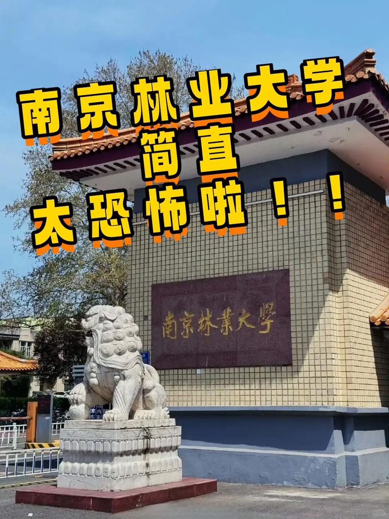 2025南京林业艺考有何新变化？-第2张图片-泰美艺术培训