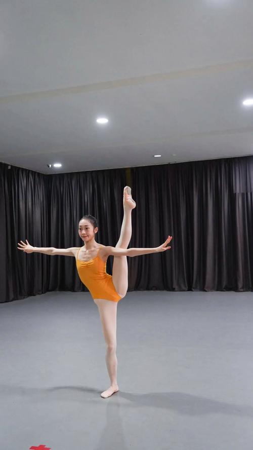 舞蹈生能报音乐类艺考吗？-第2张图片-泰美艺术培训