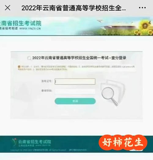 云南省艺术联考成绩何时可查？-第2张图片-泰美艺术培训