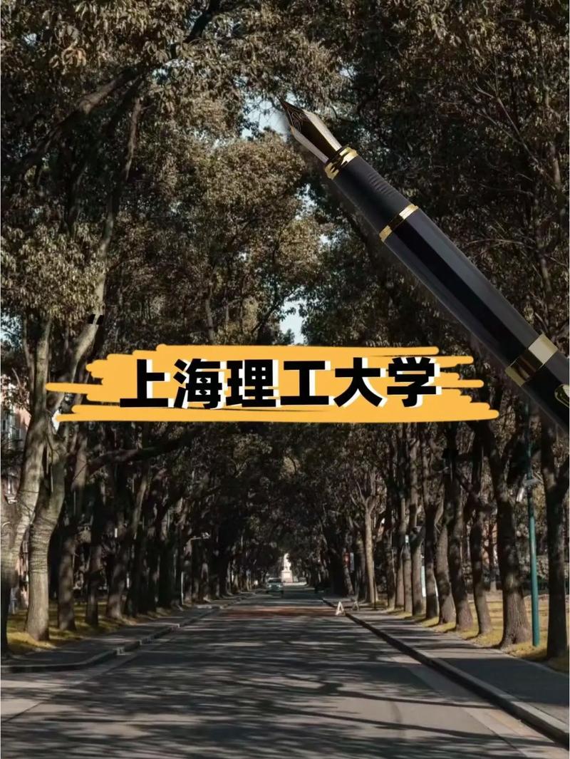 上海理工音乐系专业怎么样？-第2张图片-泰美艺术培训