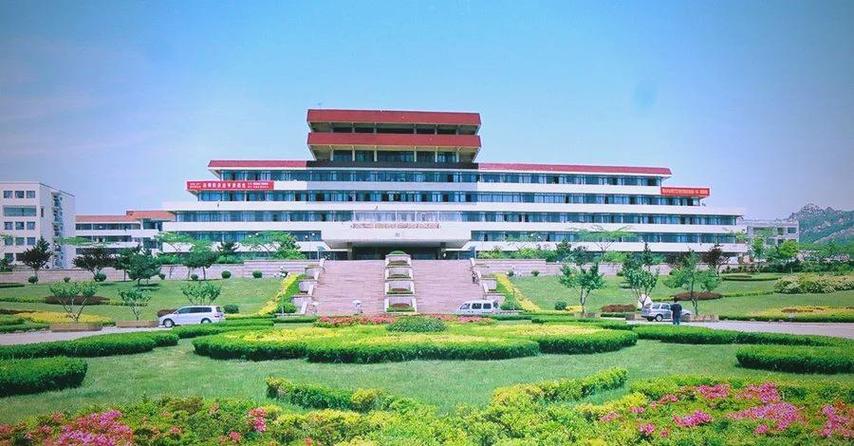 青岛高考美术学校有哪些？-第1张图片-泰美艺术培训