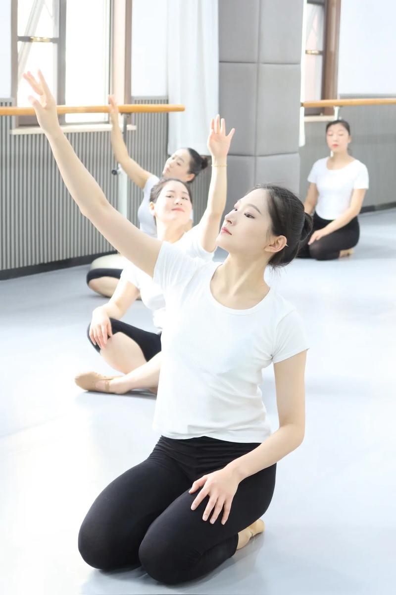 北京体育大学舞蹈文化课学什么？-第1张图片-泰美艺术培训