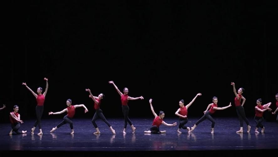 北京体育大学舞蹈文化课学什么？-第2张图片-泰美艺术培训