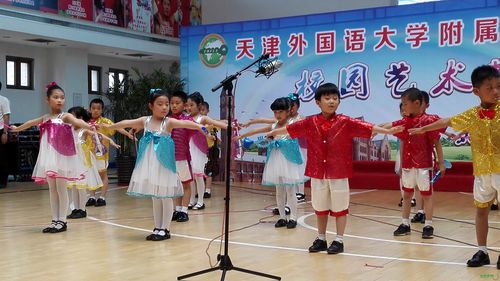 天津外国语学院舞蹈招生有何要求？-第2张图片-泰美艺术培训