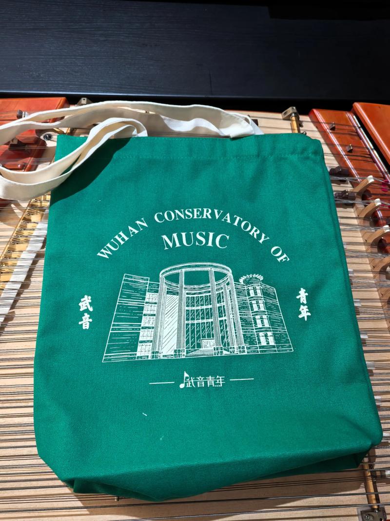 武汉成教音乐学怎么报？有哪些课程？-第2张图片-泰美艺术培训