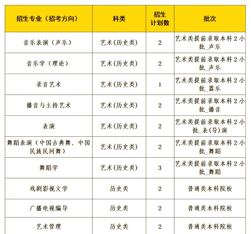 2025年艺术音乐学院-第2张图片-泰美艺术培训