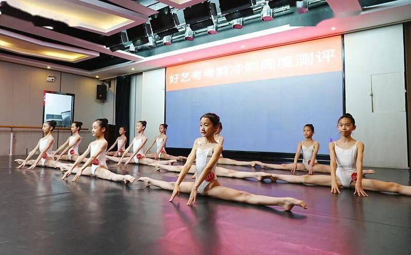 舞蹈校考到底要不要考文化课？-第3张图片-泰美艺术培训