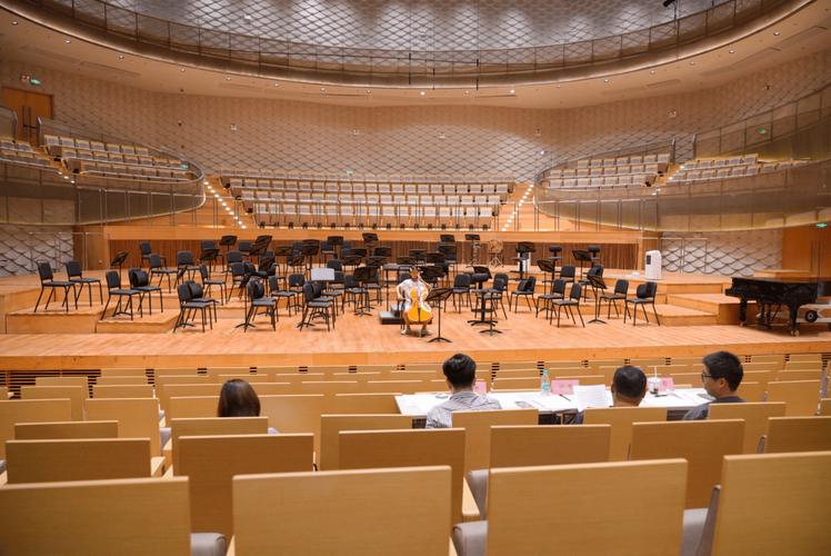 苏州大学2025音乐生招生有何新变化？-第1张图片-泰美艺术培训