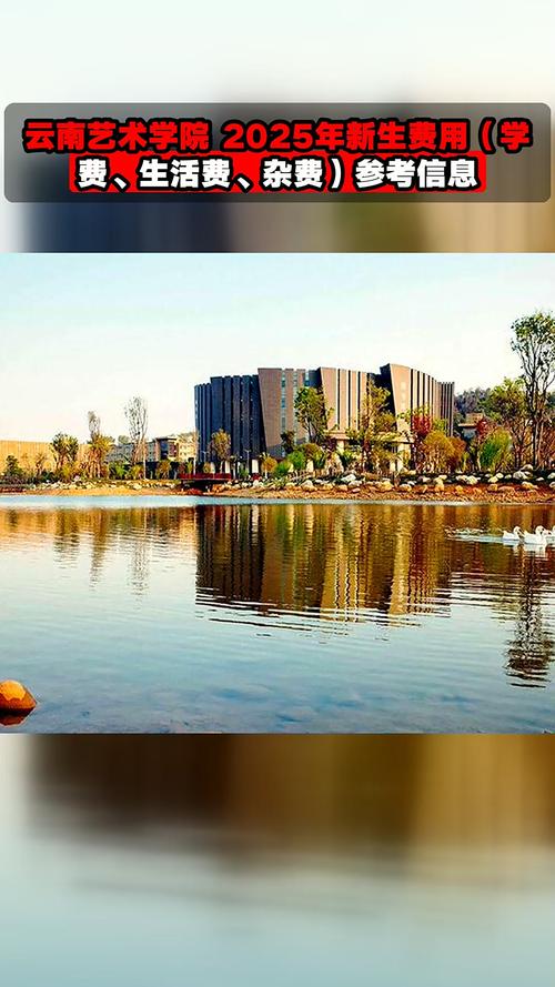 2025年云南艺考有哪些学校招生？-第2张图片-泰美艺术培训