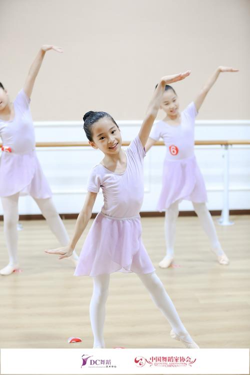 不考级能学舞蹈专业吗？-第1张图片-泰美艺术培训