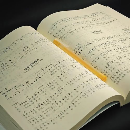 2025年黑龙江音乐高考，新政策下，考生如何备考才能脱颖而出？-第1张图片-泰美艺术培训