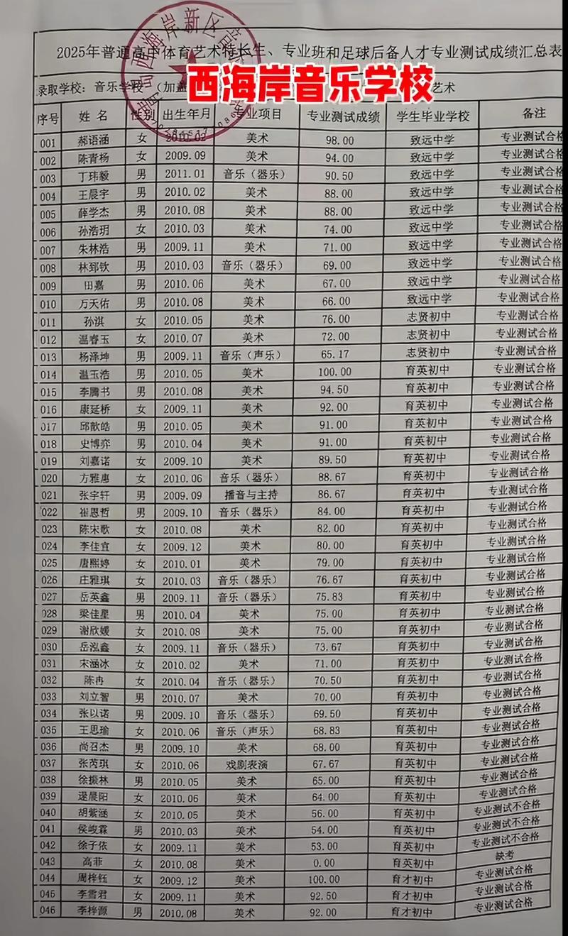 2025音乐生单招学校有哪些选择？-第3张图片-泰美艺术培训