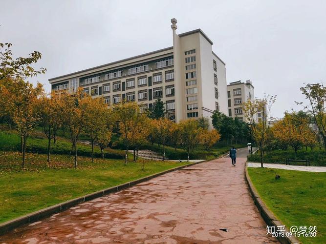 重庆南方翻译学院音乐学有何特色与优势？-第1张图片-泰美艺术培训