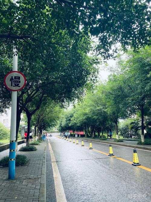 重庆南方翻译学院音乐学有何特色与优势？-第2张图片-泰美艺术培训