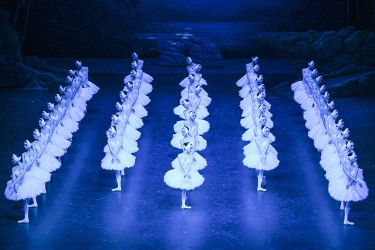 天鹅湖舞蹈形式结构如何构建？-第3张图片-泰美艺术培训