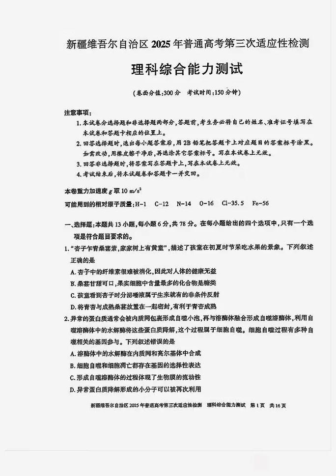2025桂林理综联考题难度如何？-第1张图片-泰美艺术培训