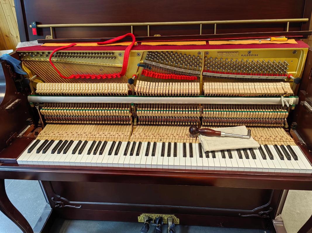 嘉庚2025音乐学钢琴-第3张图片-泰美艺术培训