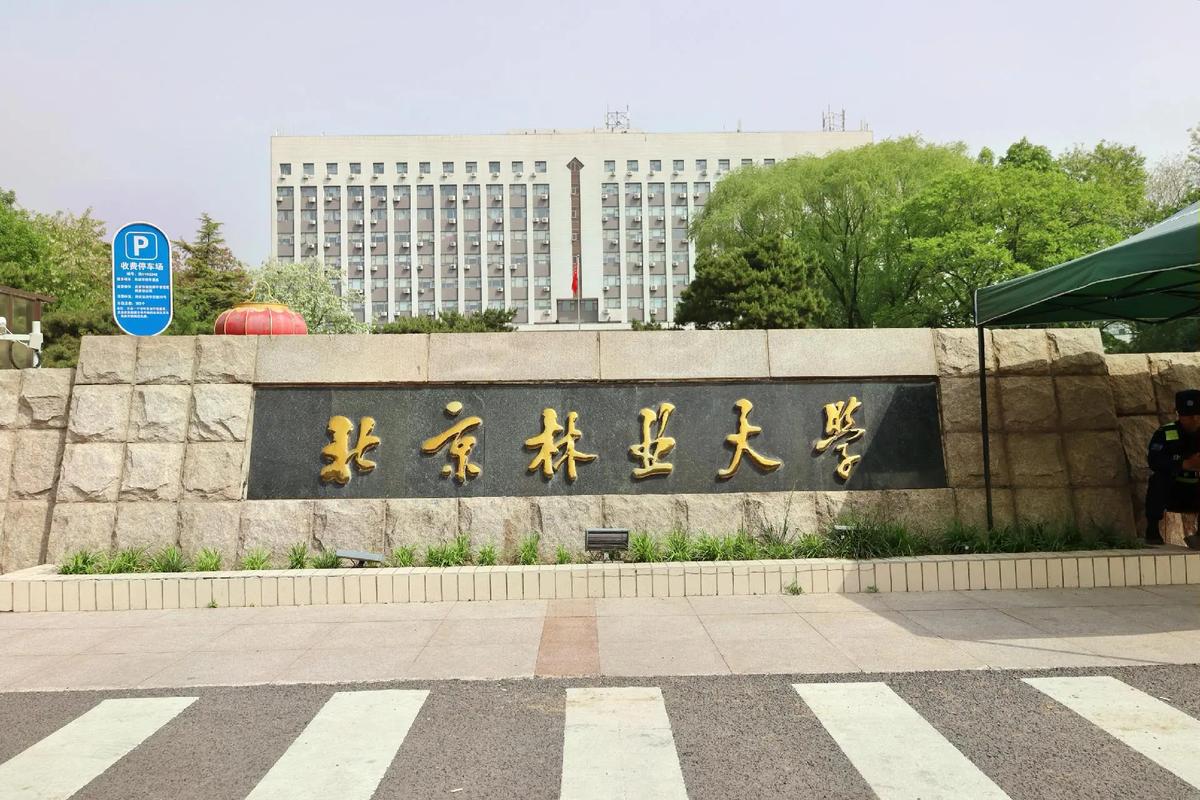 北京林业大学美术校考考什么？-第3张图片-泰美艺术培训