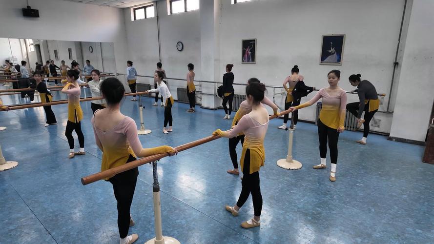 山东青干院舞蹈教学视频-第1张图片-泰美艺术培训
