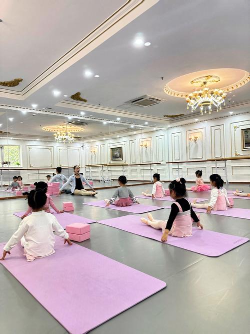 山东青干院舞蹈教学视频-第2张图片-泰美艺术培训