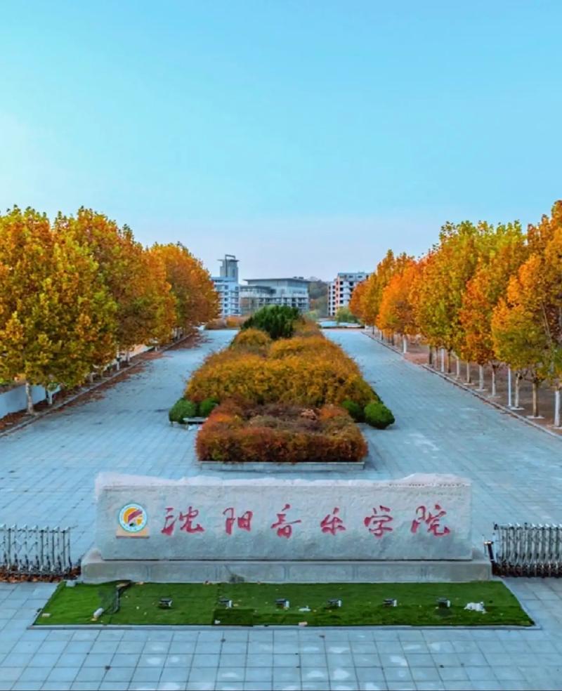 2025年沈阳音乐学院招生计划是什么？-第1张图片-泰美艺术培训