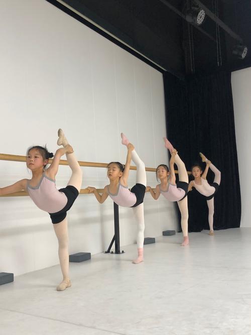 体育舞蹈的发展方向与核心要素有哪些?-第2张图片-泰美艺术培训 体育舞蹈的发展方向与核心要素有哪些?-第2张图片-泰美艺术培训