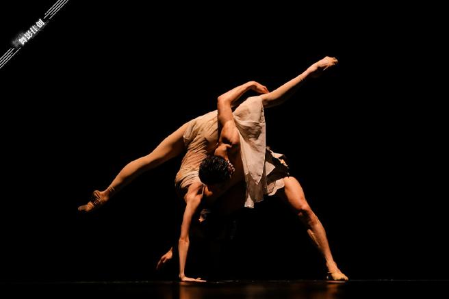 男子双人舞片段如何展现编导的创意与张力？-第2张图片-泰美艺术培训