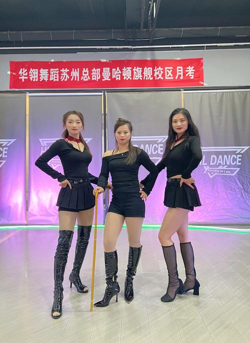 合肥舞蹈艺考QQ群怎么进？-第1张图片-泰美艺术培训