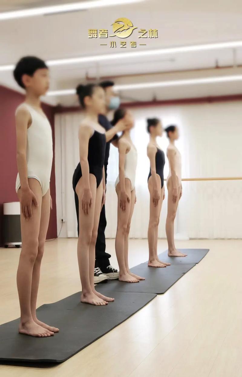 舞蹈艺考最低年龄限制是多少？-第1张图片-泰美艺术培训
