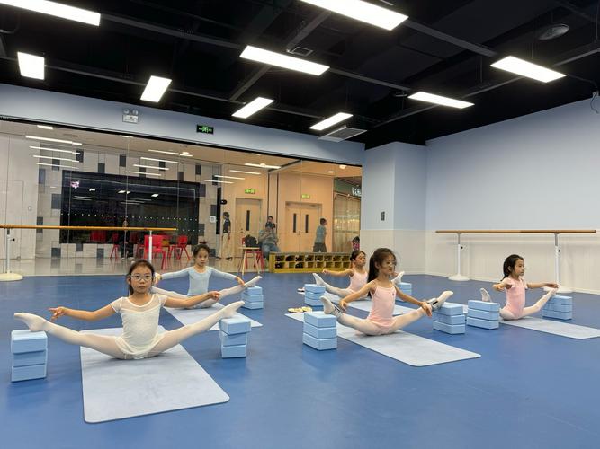 舞蹈校考学校有哪些？-第1张图片-泰美艺术培训