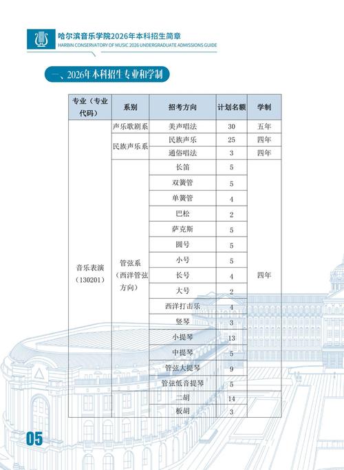 2025音乐单招有哪些学校？招生计划如何？-第2张图片-泰美艺术培训