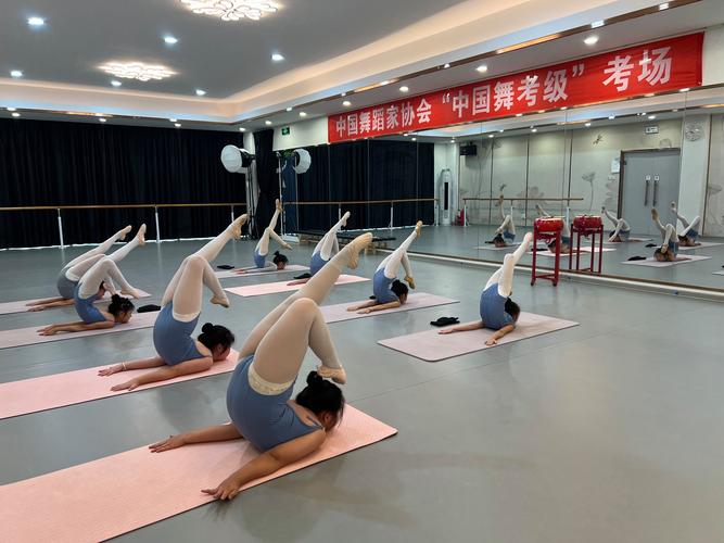 上饶师范学院舞蹈学体育有何特色与优势?-第2张图片-泰美艺术培训 上饶师范学院舞蹈学体育有何特色与优势?-第2张图片-泰美艺术培训