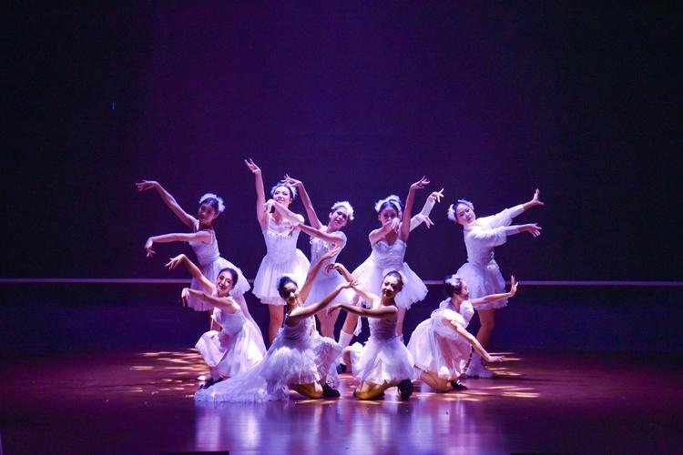 广西民族大学舞蹈类专业有何特色？-第2张图片-泰美艺术培训