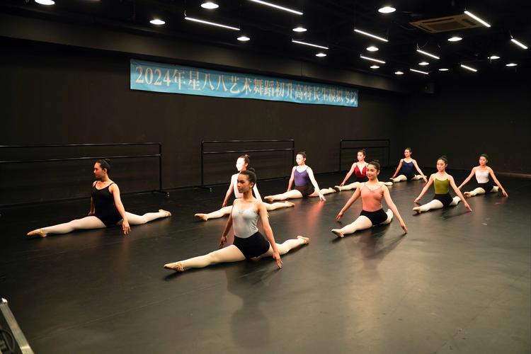 北京体育大学特长生舞蹈有何选拔标准？-第1张图片-泰美艺术培训