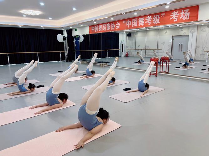 山东职业学院有舞蹈专业的吗？-第2张图片-泰美艺术培训