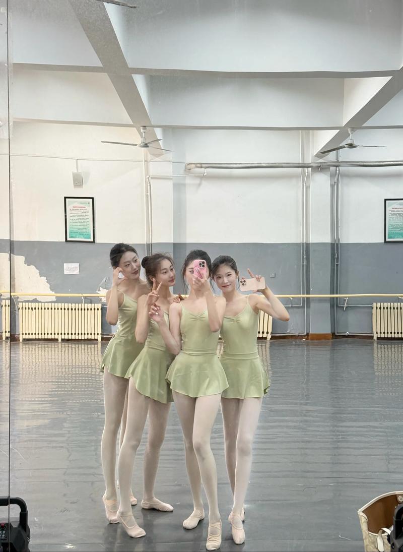 大学舞蹈专业究竟学哪些舞种？-第3张图片-泰美艺术培训