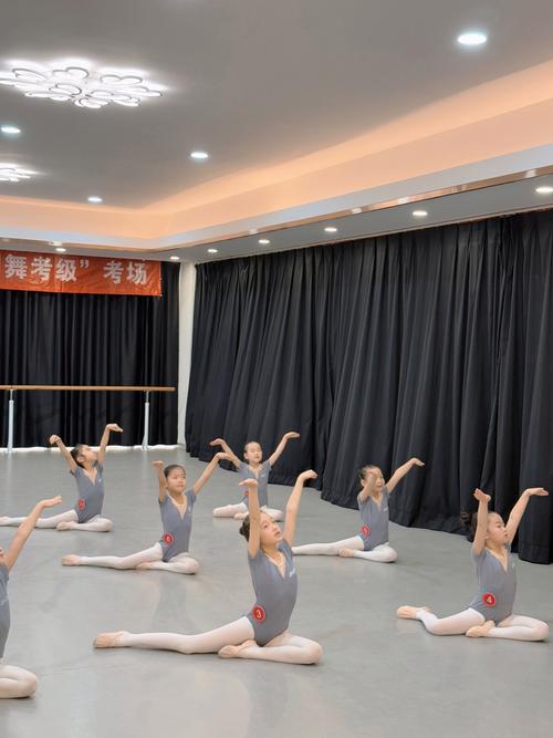 河北省体育舞蹈专业考试考什么?-第1张图片-泰美艺术培训 河北省体育舞蹈专业考试考什么?-第1张图片-泰美艺术培训