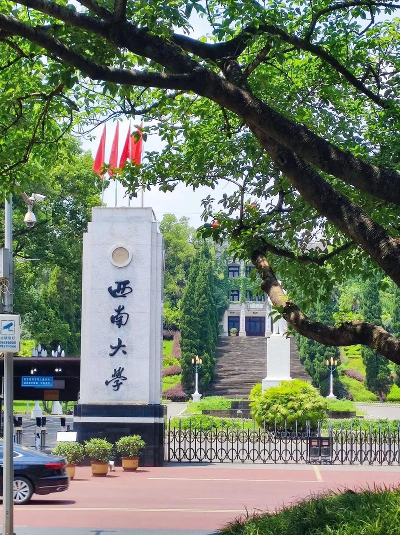 西南大学美术学院.-第2张图片-泰美艺术培训