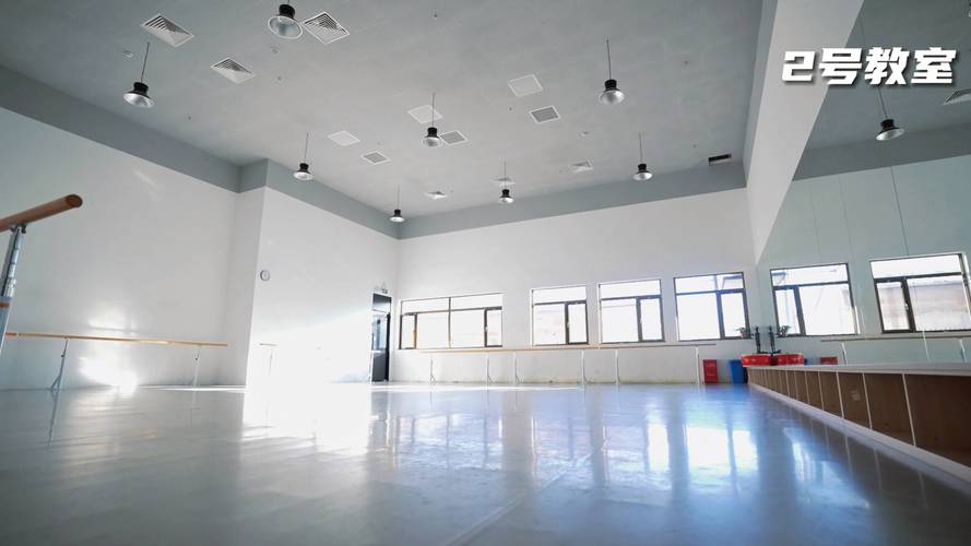 舞蹈艺考生为何向往心仪学校？-第2张图片-泰美艺术培训