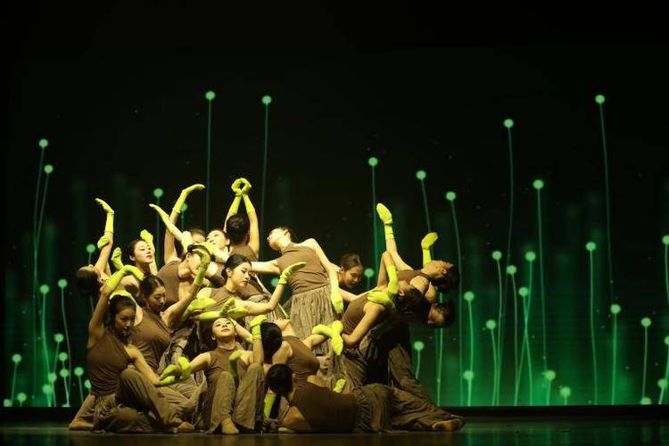 长春吉林艺术学院舞蹈有何特色？-第1张图片-泰美艺术培训