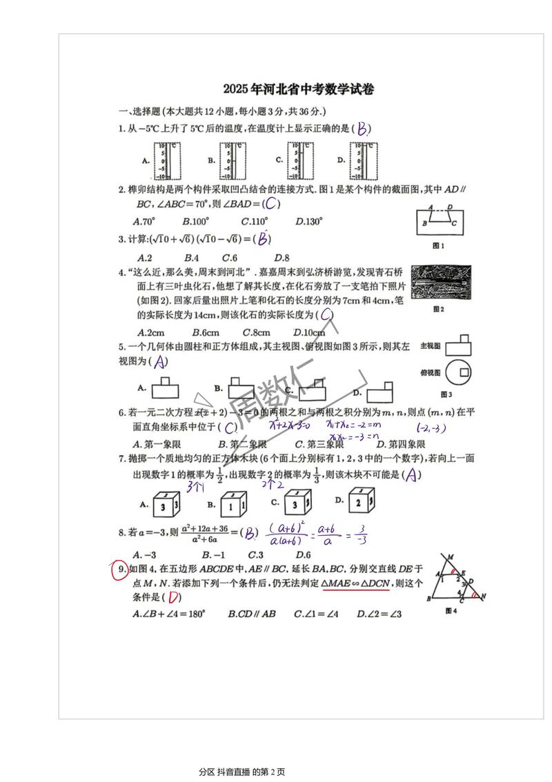 2025河北省五市联考-第3张图片-泰美艺术培训 2025河北省五市联考-第3张图片-泰美艺术培训