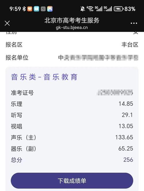 2025音乐联考合格线是多少？-第1张图片-泰美艺术培训
